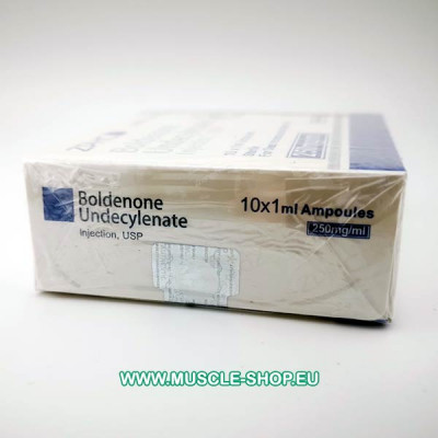 Boldenone Undecylenate 250mg/ml 10x1 Ampoules ZPHC