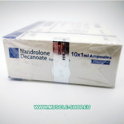 Nandrolone Decanoate - 250 Mg / Ml 10x1 Ampoules ZPHC