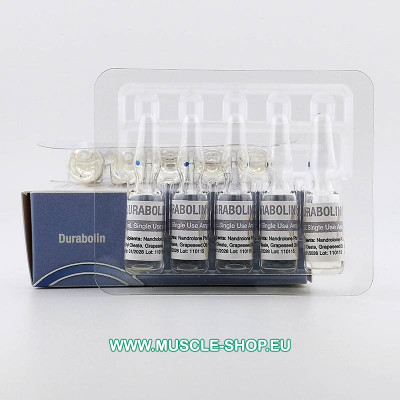 Nandrolone Phenylpropionate - Durabolin - 10x1ml 100 mg/ml