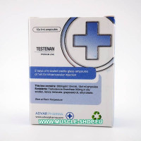 Testosterone Enanthate – Testenan – 10x1ml 300 mg/ml
