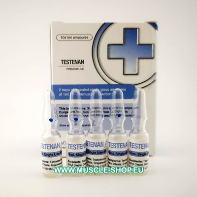 Testosterone Enanthate – Testenan – 10x1ml 300 mg/ml