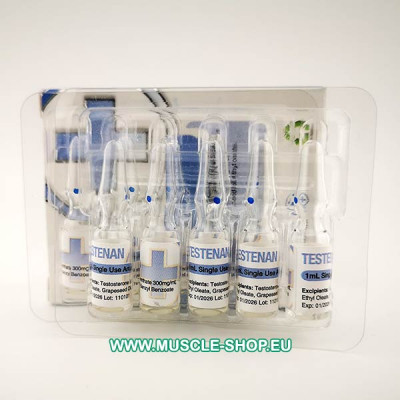 Testosterone Enanthate – Testenan – 10x1ml 300 mg/ml