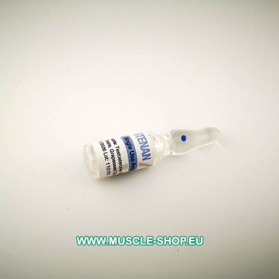 Testosterone Enanthate – Testenan – 10x1ml 300 mg/ml