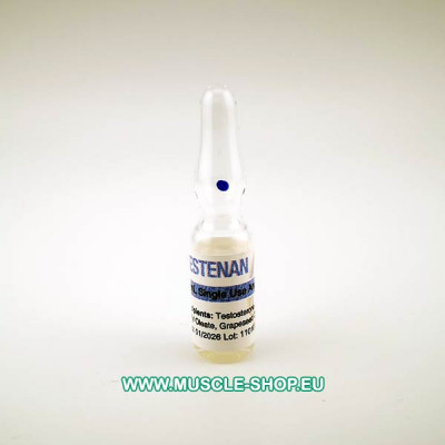 Testosterone Enanthate – Testenan – 10x1ml 300 mg/ml