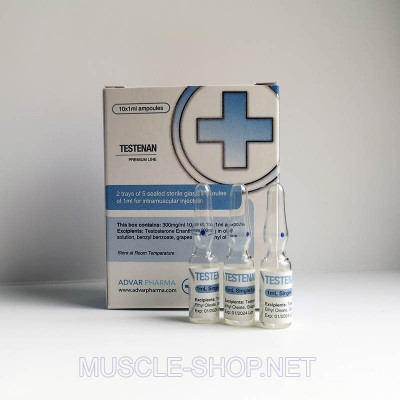 Testosterone Enanthate – Testenan – 10x1ml 300 mg/ml