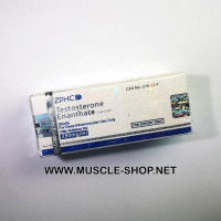Testosterone Enanthate 250mg/ml ZPHC