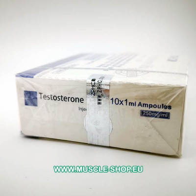 Testosterone Mix (Sustanon) 250mg/ml 10x1 Ampoules ZPHC