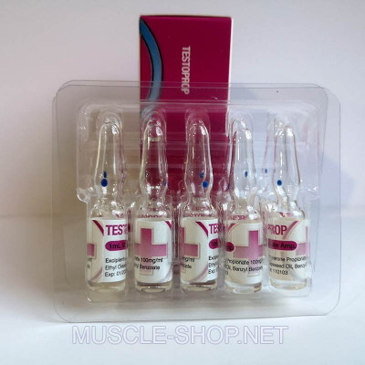 Testosterone Propionate - Testoprop - 10x1ml 100 mg/ml