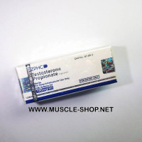 Testosterone Propionato 100 mg / ml