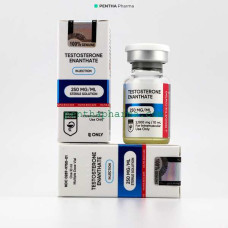 Testosterone Enanthate 250 mg/ml Hilma Biocare