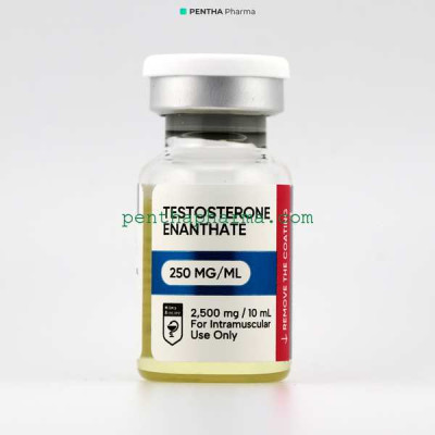 Testosterone Enanthate 250 mg/ml Hilma Biocare